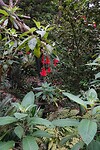 DSC04592-01