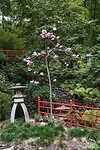 DSC04584-01