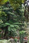 DSC04577-01