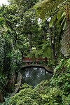 DSC04565-01