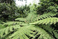 DSC04555-01