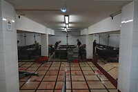 DSC04552-01