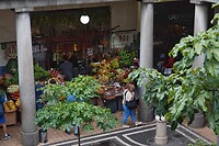 DSC04543-02