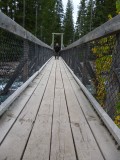 Brug 5