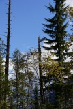 totempaal op First Nations kerkhof