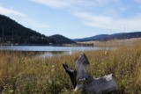 Stump Lake