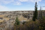 Horse Shoe Canyon