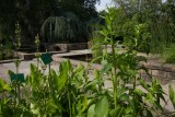 Botanische tuin