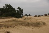Kootwijkerzand