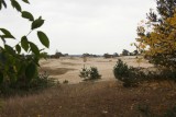 Kootwijkerzand