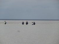 DSCN4880