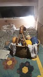 Ontbijt op bed van Derk