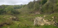 20190417_103934