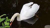 20190430_180054