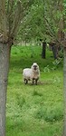 20190503_180718