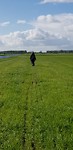 20190504_094924