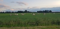 20190606_210158