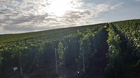 20190730_082721