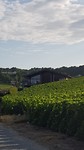 20190730_082710