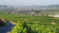 20190730_083000