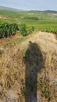 20190730_083220