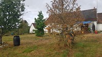 20190815_083227