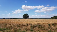 20190814_131311