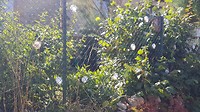 20190814_113401