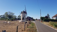 20190903_103315