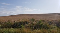20190915_155436
