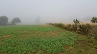 20190923_090144