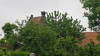 20210605_093141