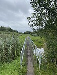 image00038