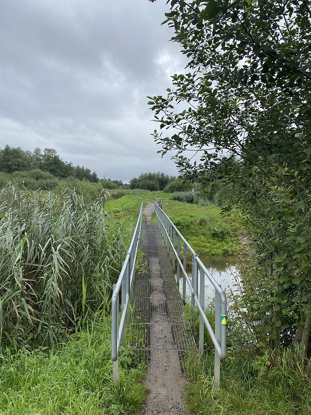 image00038