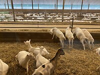 image00021