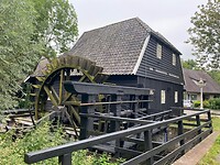 IMG_1853