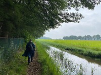 IMG_1878