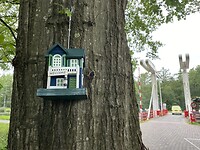 image00026-1
