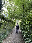 image00137