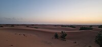 20230525_060137