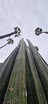 20230529_083605
