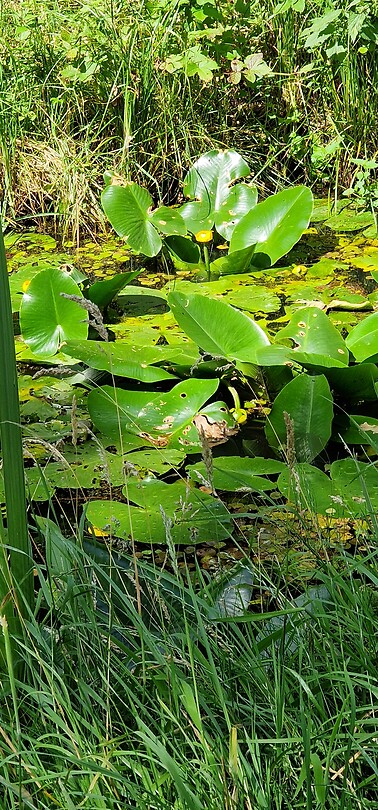 20240704_113939