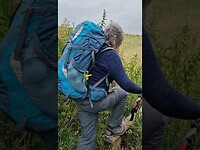 MIJN CAMINO OP SLAKKENTEMPO CULEMBORG - HOUTEN ETAPPE 7