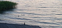 20250614_050353