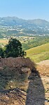 20260527_080836