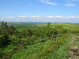 Glooiend kliffen landschap nabij Staithes