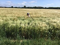 IMG_0019