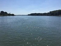 IMG_0038