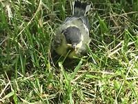IMG_0081