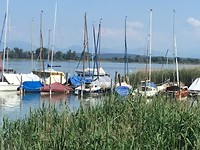 IMG_0101